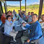Happy group toasting with wine at a bright outdoor Adelaide restaurant, enjoying the Highlights and Coast Full Day Wine Tasting tour.