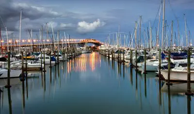 Auckland marina at dusk with moored sailboats, calm water, and the illuminated city bridge glowing in the evening skyline.