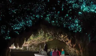 Visitors exploring the Waitomo Glowworm Caves in New Zealand beneath thousands of glowing bioluminescent glowworms illuminating the cave ceiling.