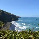 Experience a breathtaking rugged coastline on a Private Eco Tour, featuring dramatic black sand beaches, lush green cliffs, and blue ocean.