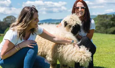 Two women enjoying a Rotorua Private Tour, smiling and stroking a fluffy sheep on lush green grass under a clear blue sky.