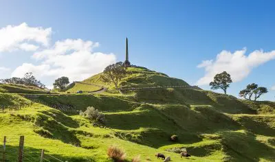 Lush green hills near Auckland City dotted with grazing sheep, featuring a prominent obelisk on a hilltop under clear blue skies.