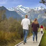 67abe95bc3b6e_131_stray-nz17wright7878-1