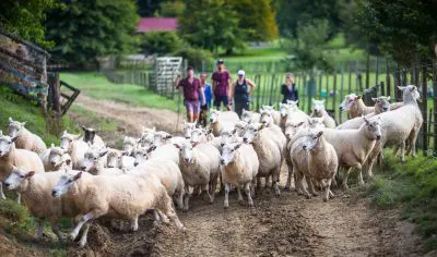 67ac0ce6ccdbe_131_stray-nz-blue-duck-station-micahnz173071wrightweb-4