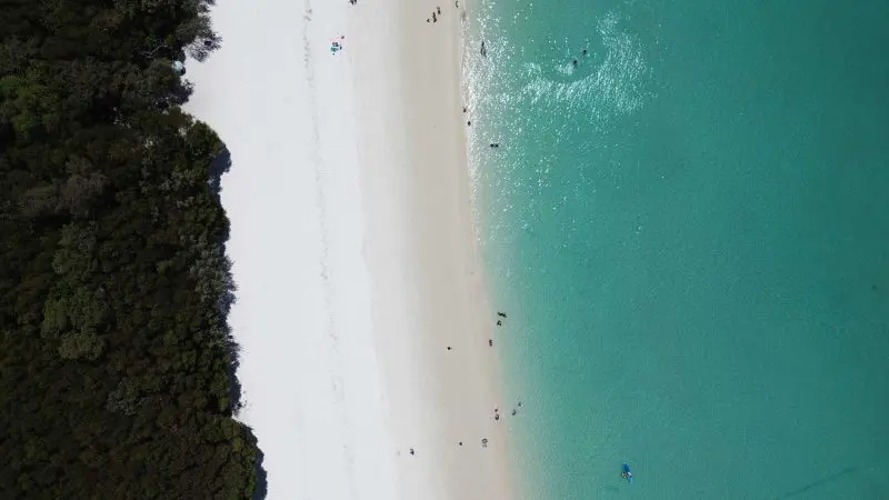 Stunning aerial view of Whitehaven Beach All Day tour featuring brilliant white sand, clear turquoise waters, lush green shore—no snorkelling.