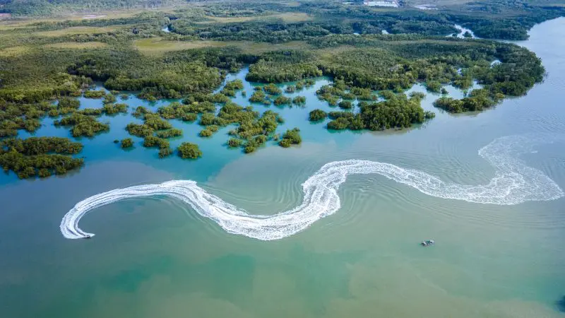Stunning aerial view of a lush mangrove-lined river, crystal blue-green waters, and a speeding boat leaving a dynamic wake—James Bond style.