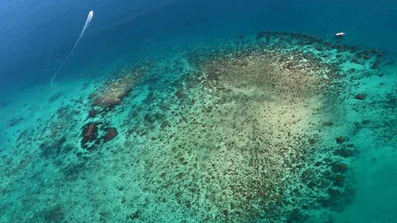 Stunning aerial view of vibrant coral reef in crystal-clear turquoise water, featuring two boats on a 30 Minute Inner Reef Explorer tour.