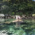 6858c73b203fc_131_copy-of-stray-nz17wright5625abel-tasman-3