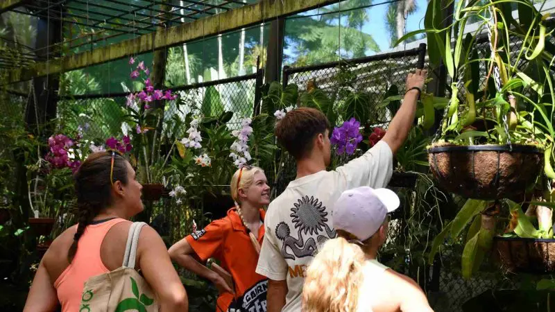 Tour group on Creek To Coral Mission Beach Day Tour exploring glasshouse, pointing at vibrant orchids and lush tropical plants.
