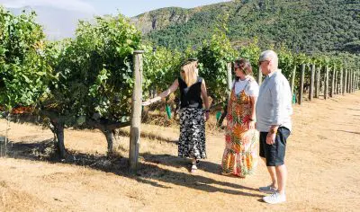 Three people tour a sunny vineyard, admiring lush grapevines surrounded by rolling green hills and mountains on a boutique wine tour.