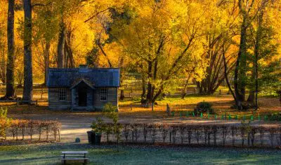Discover a picturesque wooden cabin nestled among golden autumn trees—a serene highlight of your unforgettable Queenstown tour experience.