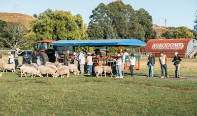 Visitors experience the popular Agrodome Farm, gathered by a tractor and trailer on a lush green field in New Zealand.