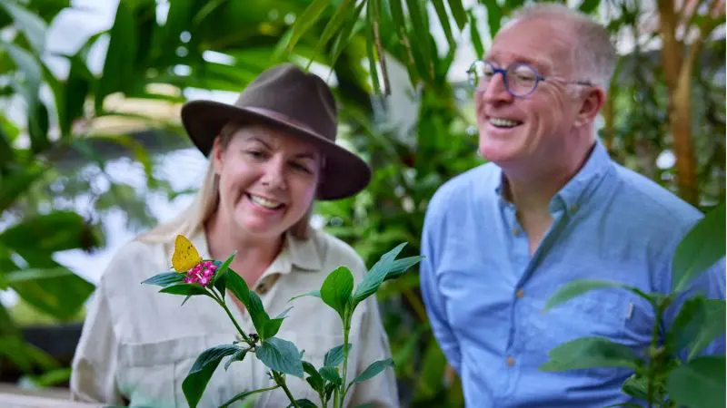 Two happy adults admire a vibrant yellow butterfly in lush greenery at Private Exclusive Grand Kuranda garden, tropical paradise.