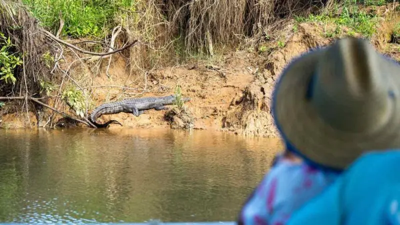 A traveller in a wide-brimmed hat observes a large crocodile basking on the riverbank during a private Daintree Cape Tribulation tour.