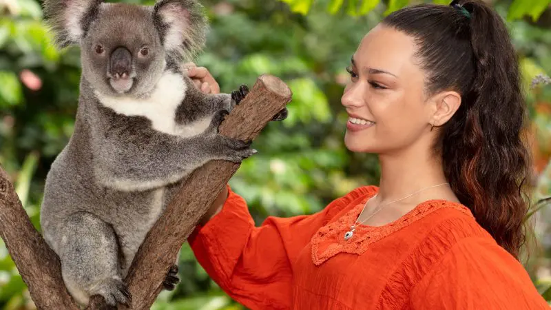 Smiling woman in orange top interacts with koala at Kuranda Koala Gardens entrance, surrounded by lush greenery and vibrant foliage.