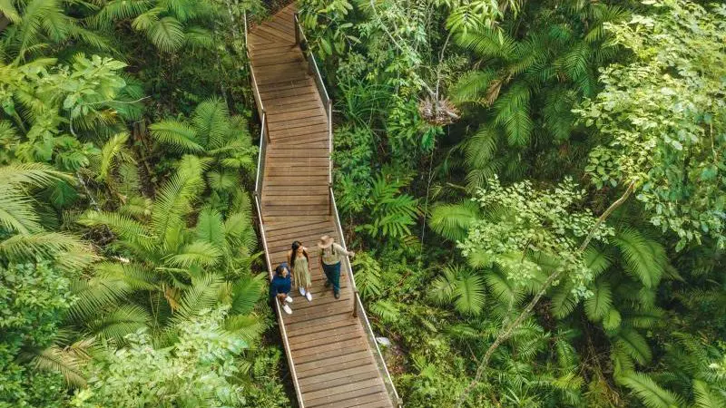 Three tourists explore a scenic winding boardwalk through dense rainforest on the 3 Day Daintree Cape Tribulation Port Douglas Tour.