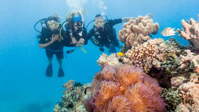 Three scuba divers explore vibrant coral reefs on a 16-day East Coast Australia comfort tour, departing from Sydney.