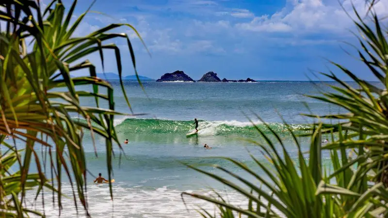 Group of surfers catching waves against lush tropical foliage, ideal scene for 8 Day Sydney to Brisbane With Fraser Island Comfort Tour.