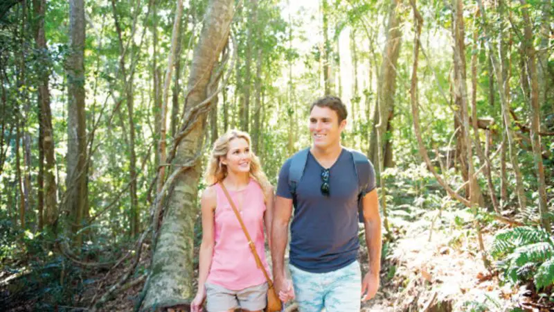 A joyful couple walk hand in hand along a sunlit trail on their 8-day Sydney to Brisbane with Fraser Island Comfort Tour adventure.