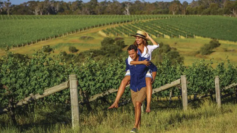 Couple enjoying a piggyback ride in a sunlit vineyard during their 14 Day Sydney to Cairns Comfort Tour, Australia travel experience.