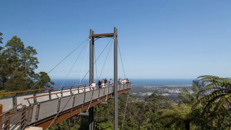 Travellers stroll a treetop walkway bridge, admiring Sydney and ocean panoramas on the 8 Day Sydney to Brisbane Fraser Island Tour.