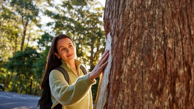 A woman in a green jumper touches a tree trunk in a sunlit forest during her 8 Day Sydney to Brisbane Fraser Island adventure tour.