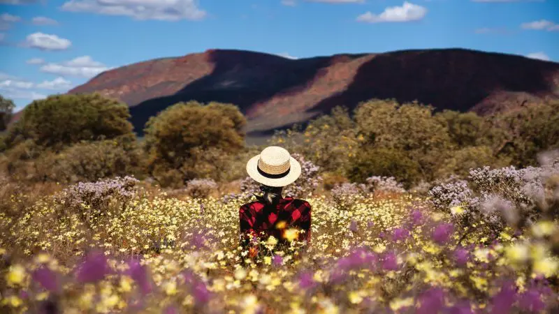 Traveller in a straw hat relaxes in vibrant wildflower field, envisioning Coastal Wonders on the 8 Day Perth to Exmouth Comfort Tour.