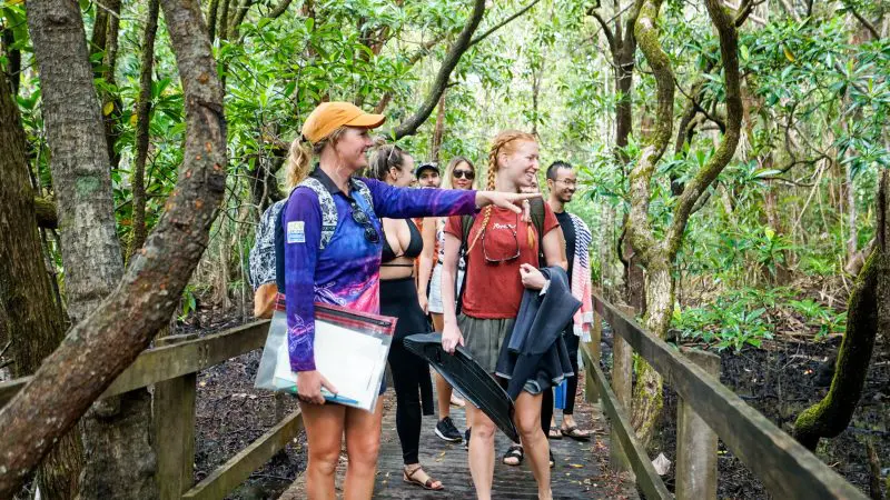 Smiling woman leads group along scenic wooden forest trail, pointing ahead on eco-friendly adventure, surrounded by lush green countryside.