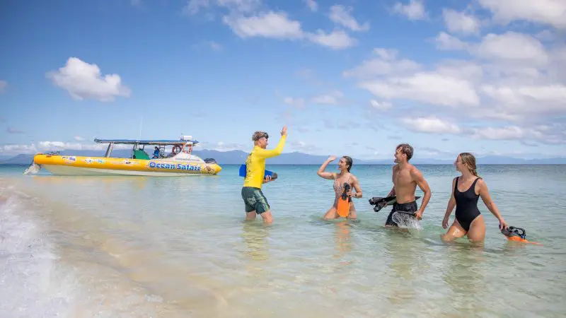 Group of friends in swimsuits high-five and smile in shallow water on a Great Barrier Reef Eco Adventure tour, enjoying the reef.