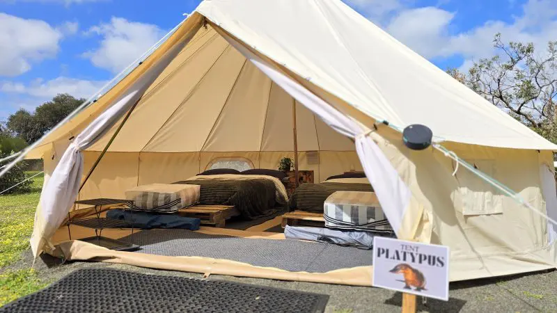 Spacious cream canvas tent with two comfortable beds on grassy ground, ideal glamping accommodation for Kangaroo Island 2 Day tour.