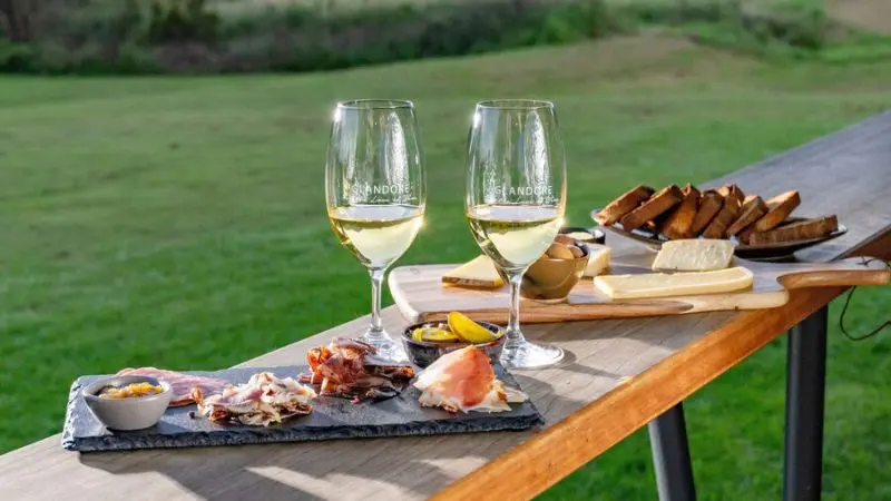 Savour gourmet charcuterie, artisan cheese, and premium wine on a Hunter Valley Wine Tour with sweeping vineyard lawn views.