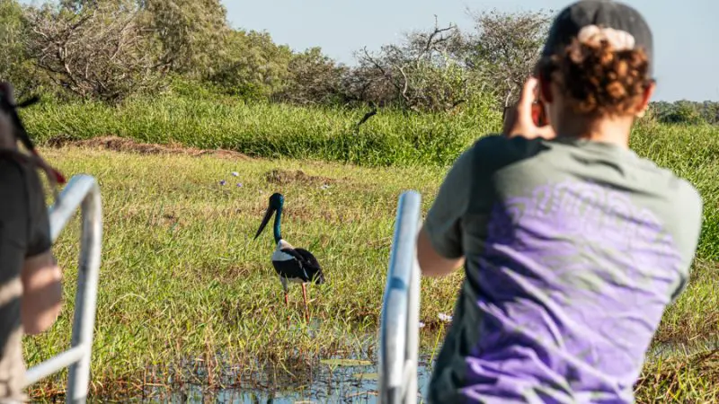 Two travellers on a boat capture photos of a stork in lush Kakadu wetlands during their 4-Day Kakadu, Katherine & Litchfield tour.