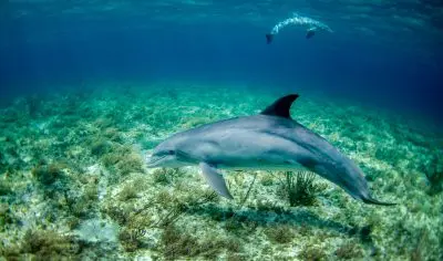 noaa NsvzdXtvyio unsplash