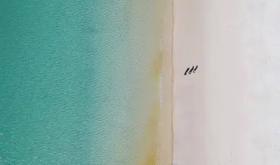 zhimai zhang kF8d9eTKQNk unsplash