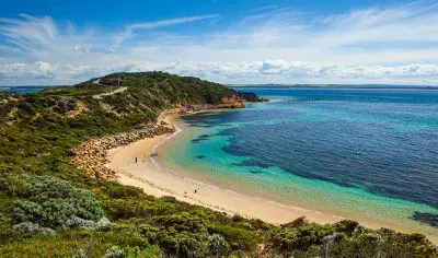 australia mornington peninsula point nepean hello blossoms