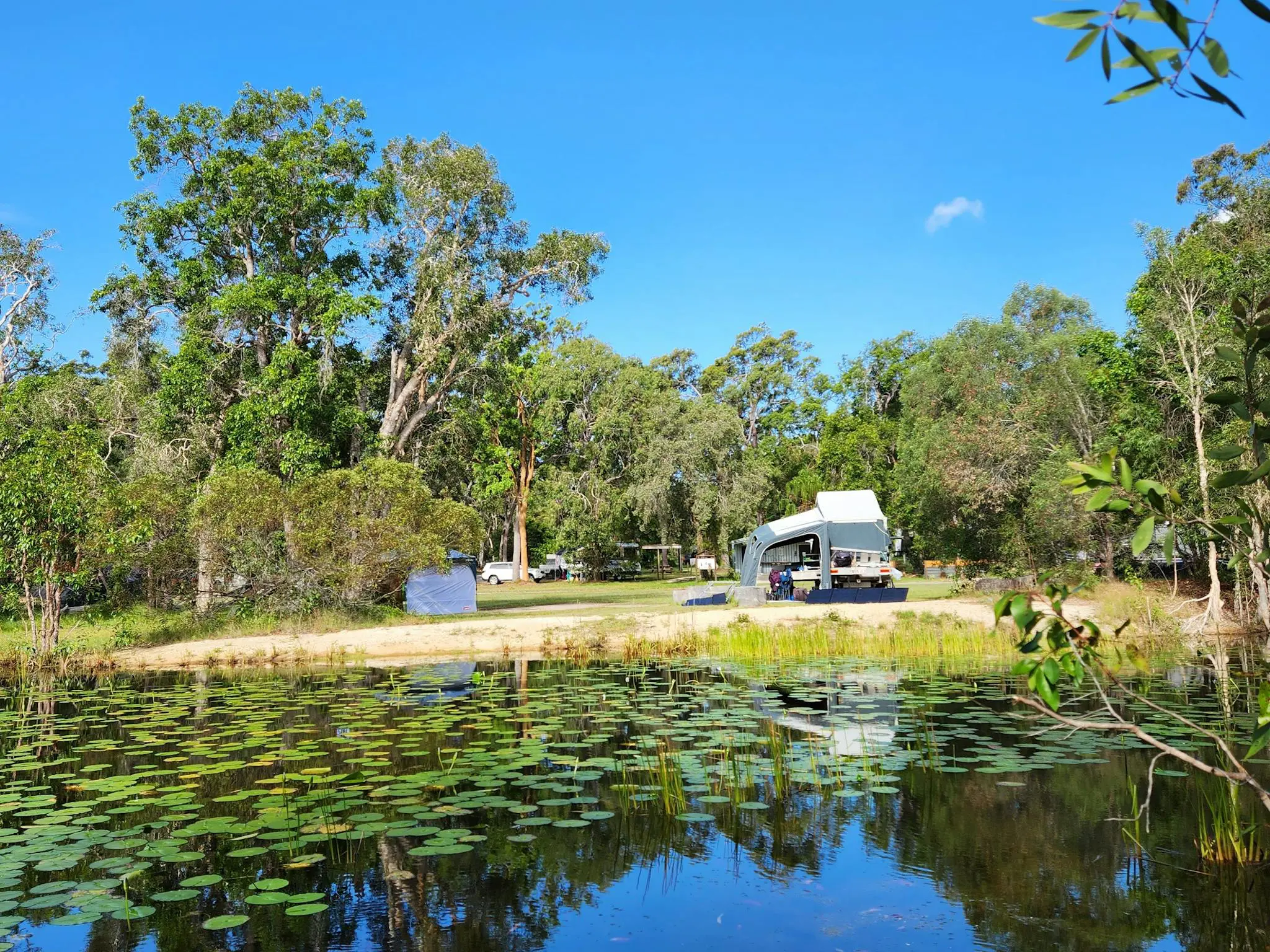 lillypads on pond water with a campervan parked behind it. trees and blue skies surround it