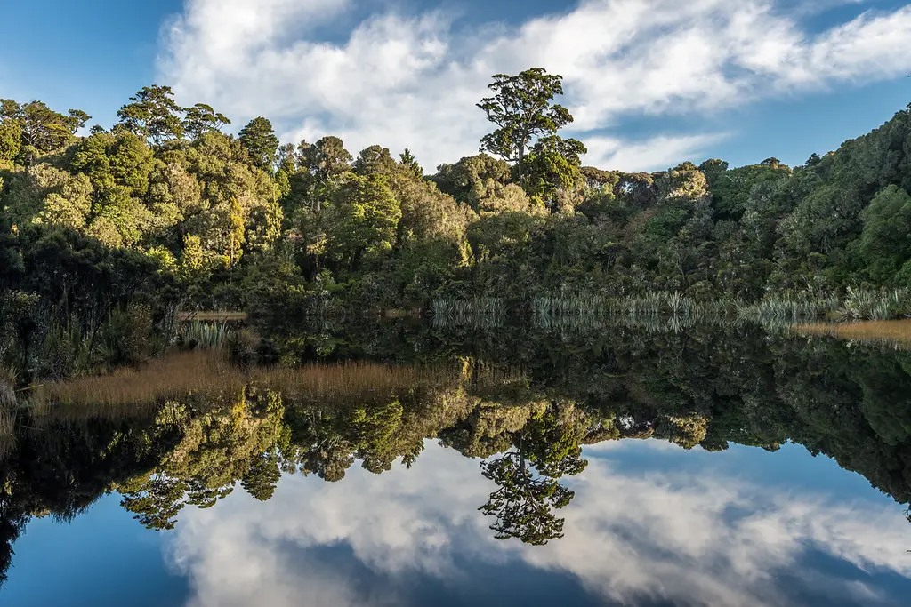 mirror reflection lake with trees and a blue sky with clouds