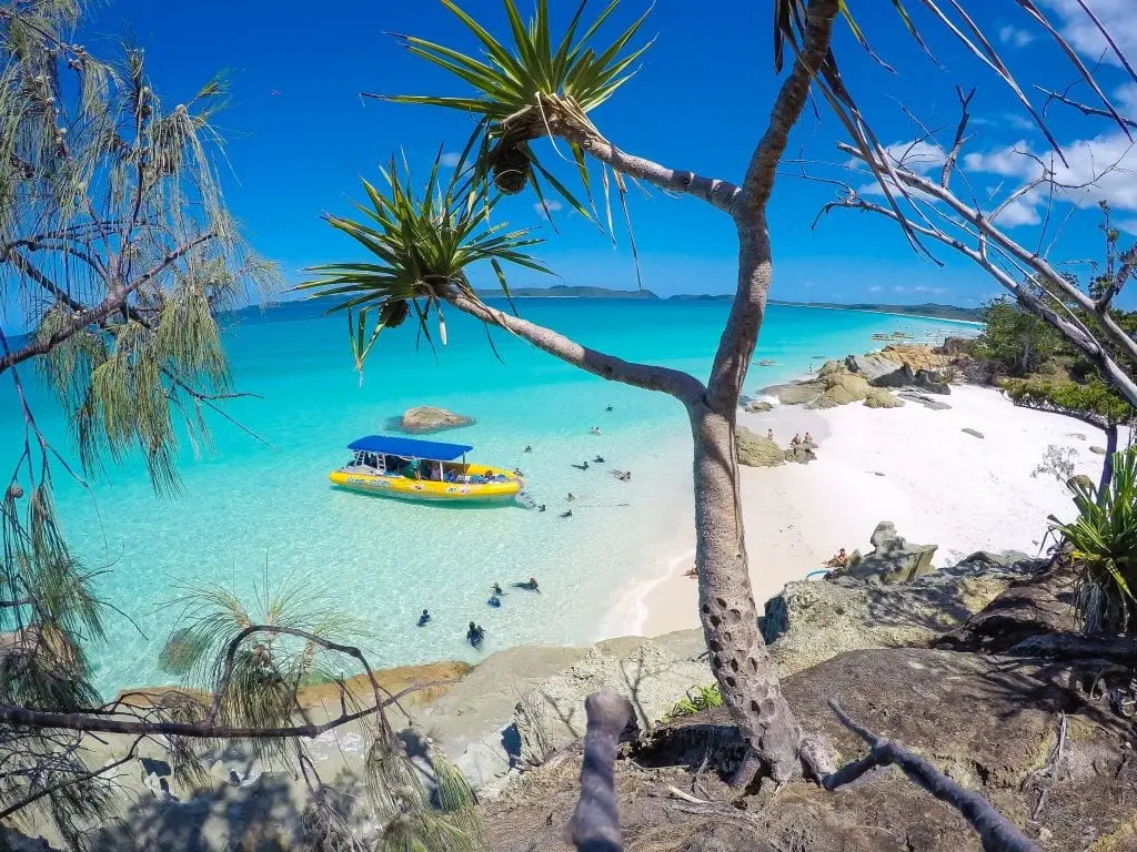 Ocean rafting raft parked at a famous Australian beach. People are swimming in blue water, a white beach to their right, and native trees around them.