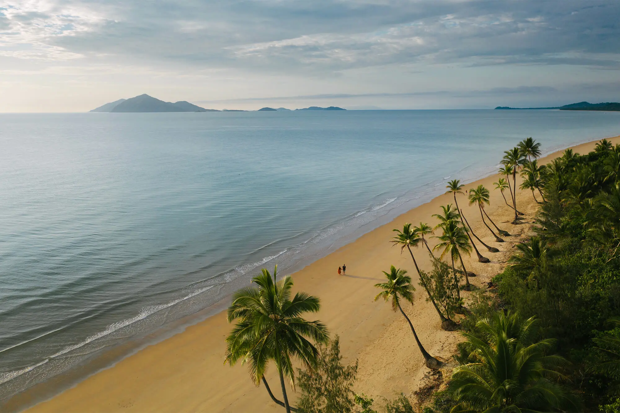 Mission beach from above with sandy coast and a long ocean spanning to the sky. Palm line the sand and there is an island in the distance