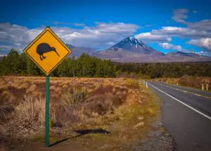 Image of Road leading to mountain with Kiwi crossing yellow sign on the side in New Zealand