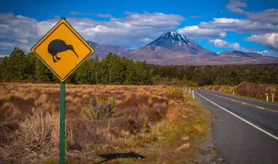 Image of Road leading to mountain with Kiwi crossing yellow sign on the side in New Zealand