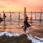 58fadc8c30d54_3401_510422662700152226678040015219436382001-vs-1