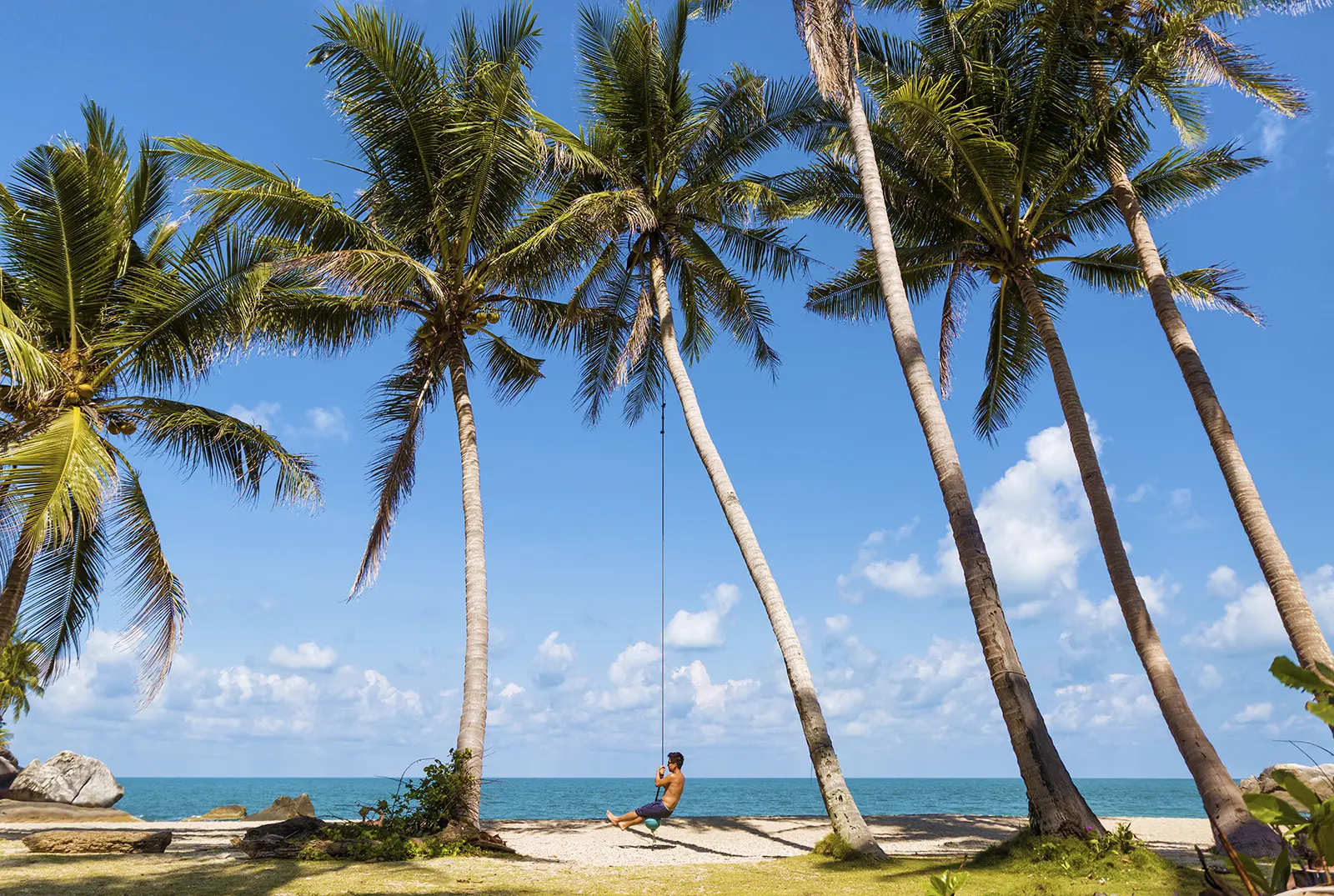 5c513b73830d2_1588_thaintrotansadetswinghires-1