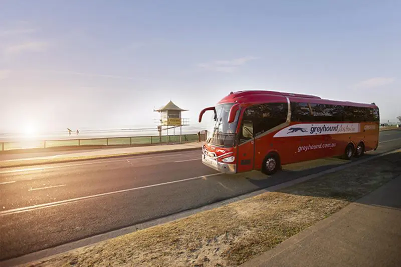 698ad51d4615c_1945_5bb4421a8aaba2033ghabeach1-2