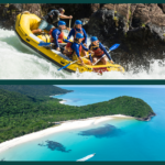 69dc1bfa89e35_250_daintree-flow-3
