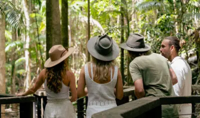 A group of travellers walking through the rainforest.