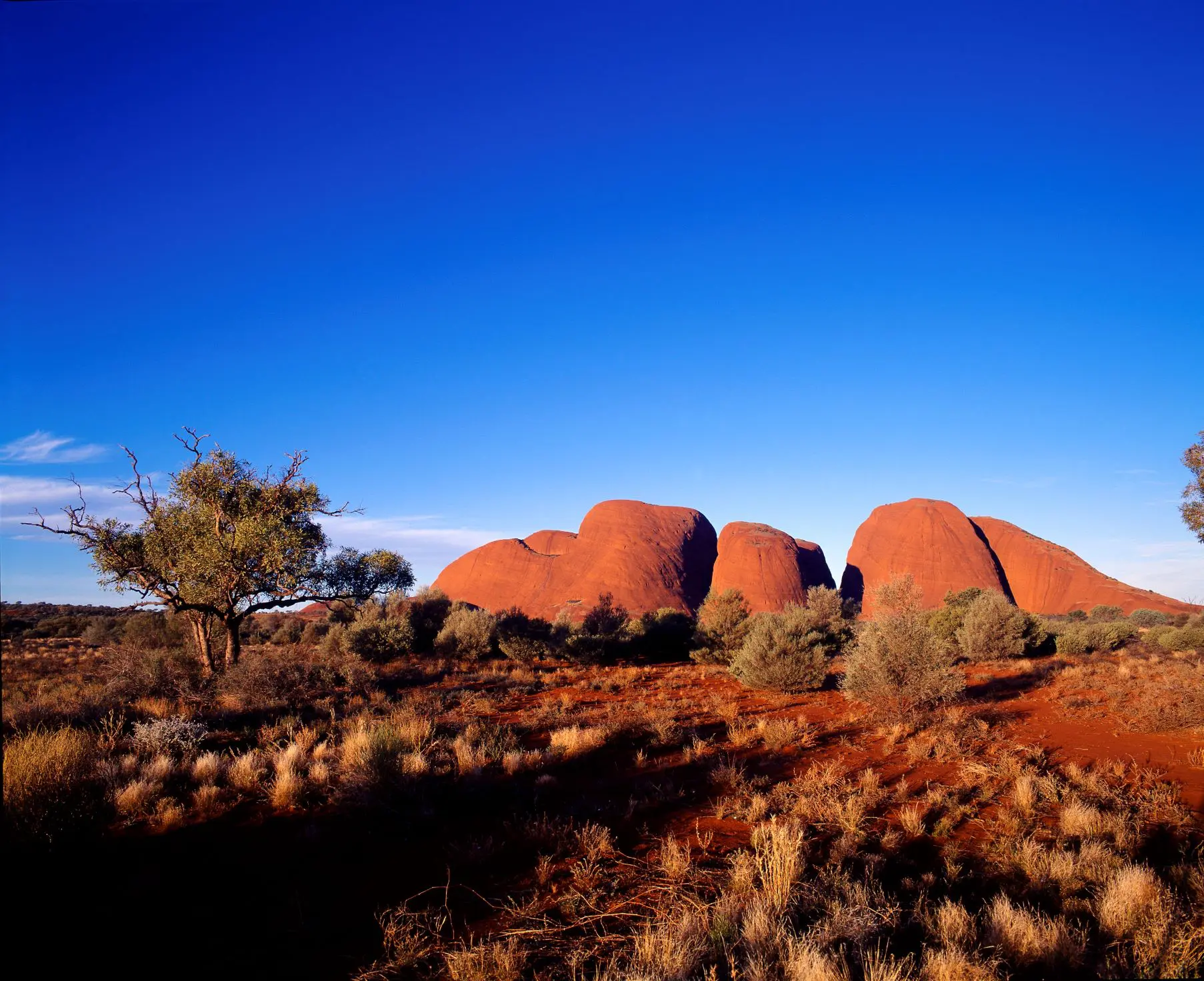 6406a47a36f43_8473_kata-tjuta-uluru-kata-tjuta-national-park-nt-credit-ta