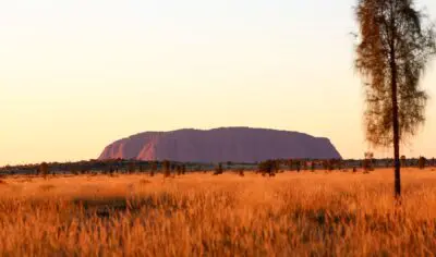 6406a48695cde_8473_uluru-uluru-kata-tjuta-national-park-nt-credit-ta