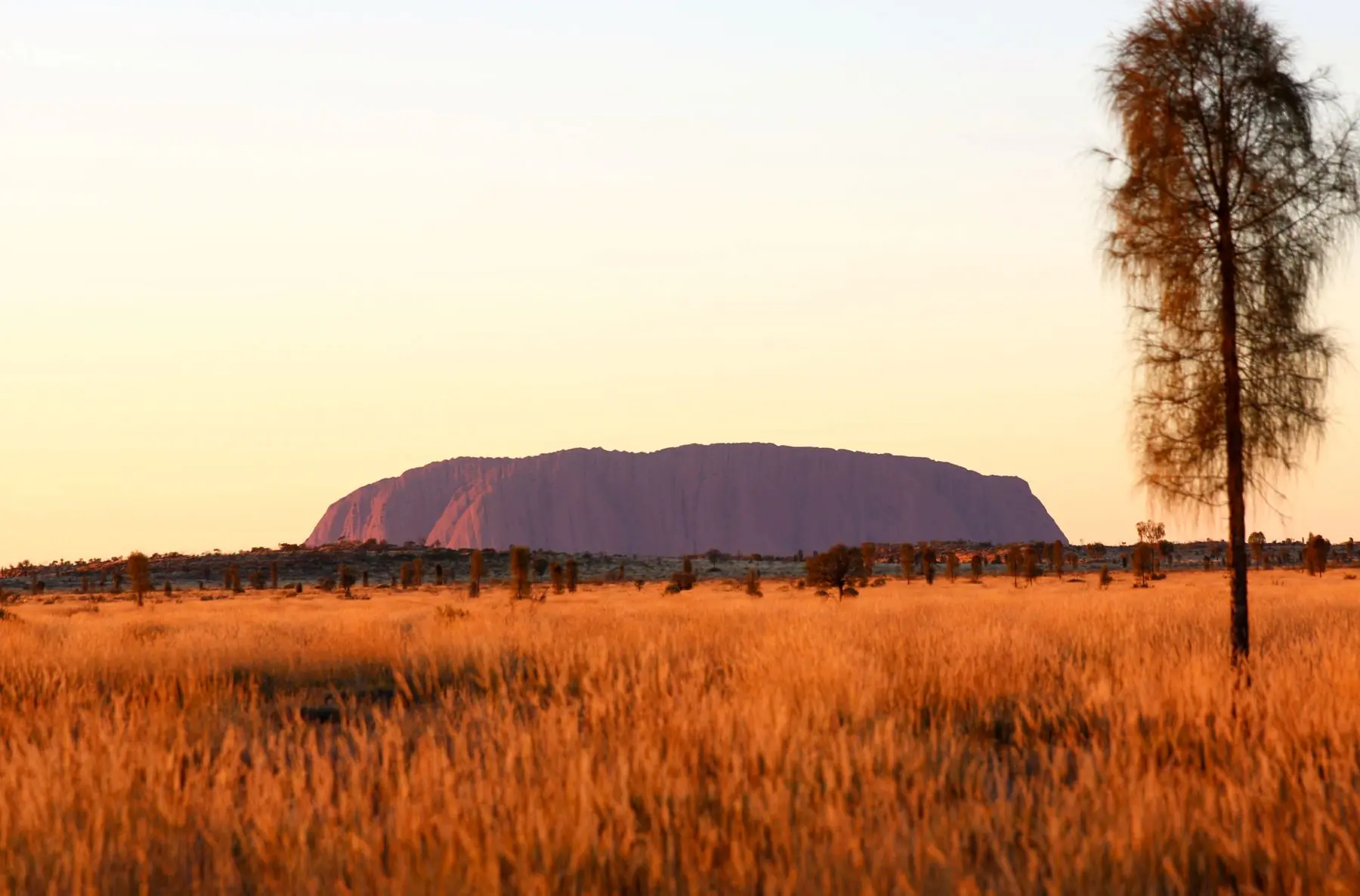 6406a48695cde_8473_uluru-uluru-kata-tjuta-national-park-nt-credit-ta