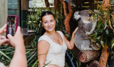 690bddc70968f_803_copy-of-cct-jervis-bay-previews-19-10-25-social-media-size-5